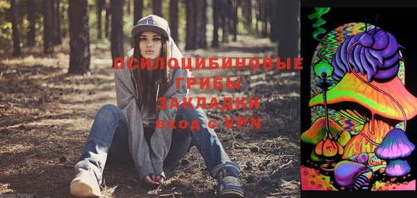 мескалин Осинники
